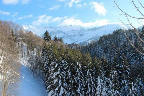 Chalet Les Meuniers