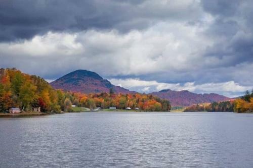 Stunning Lake Front! Modern+chic+cosy Pet Friendly