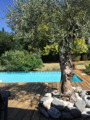Bed & Breakfast Le Gite de La Canop�e de Mios