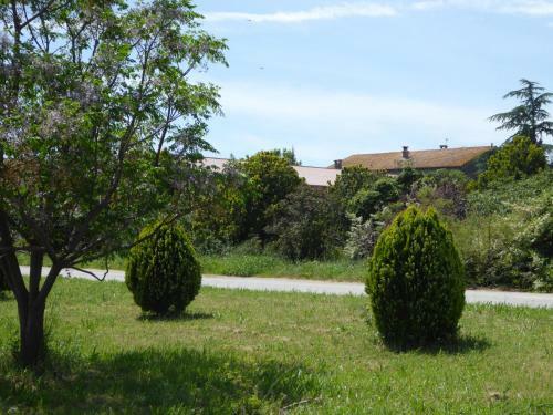 Apartamento Domaine de L?herbe Sainte