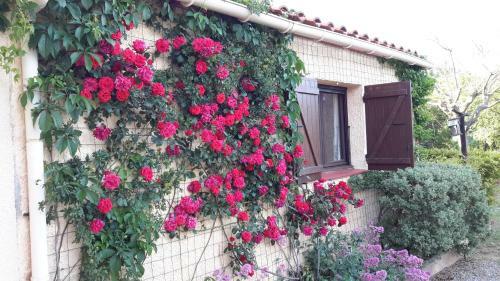 Bed & Breakfast La Pantoufle Verte
