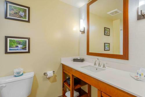 Hotel Comfort Suites Burlington Near I-5