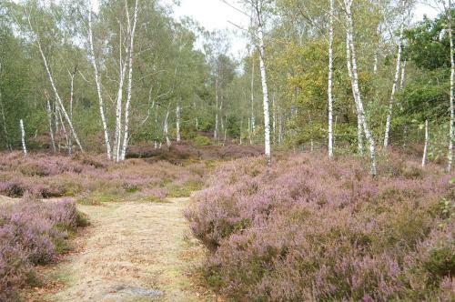 Le Lodge Des Bruy�res