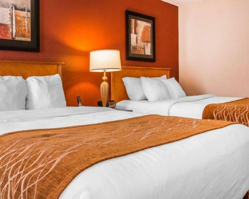 Hotel Comfort Inn & Suites And Conference Center