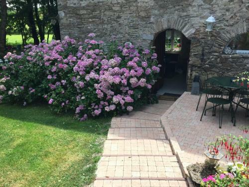 Bed & Breakfast Le Moulin De La Castellerie