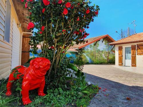 Bed & Breakfast A2pasdelaforet