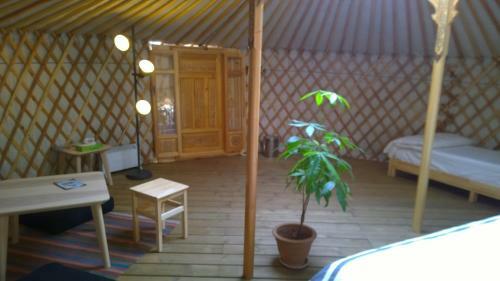 Bed & Breakfast Maison D'h�tes Les Beaux Chenes