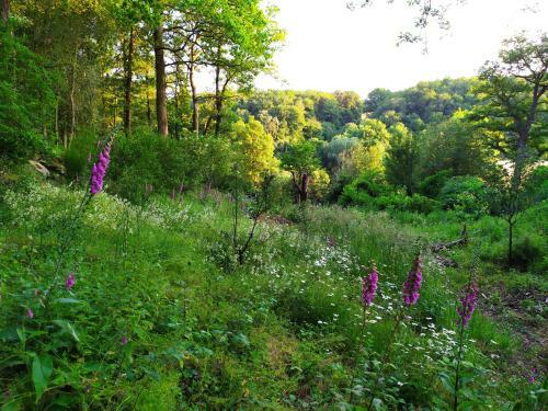 Bed & Breakfast Maison D'h�tes Les Beaux Chenes
