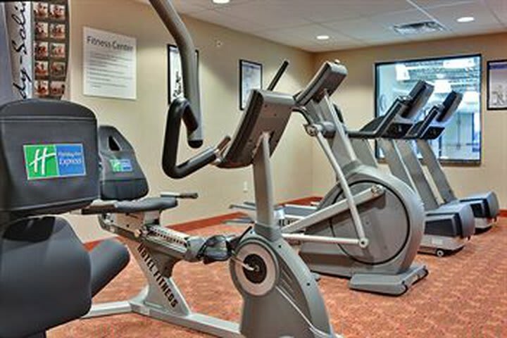 Holiday Inn Express Hotel & Suites - Novi