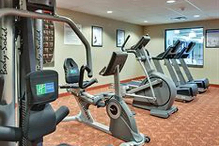 Holiday Inn Express Hotel & Suites - Novi