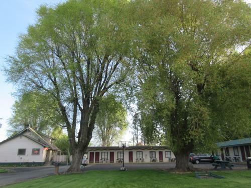 Hotel The Willows Motel