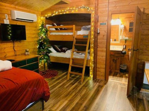 Honeybear Hideaway Cabin