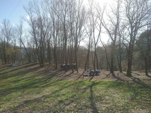 Location Meubl�e Au Milieu D'un �crin De Verdure Aux Vieux Fours