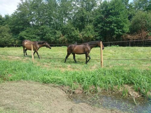 Location Meubl�e Au Milieu D'un �crin De Verdure Aux Vieux Fours