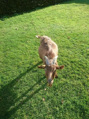 Location Meubl�e Au Milieu D'un �crin De Verdure Aux Vieux Fours