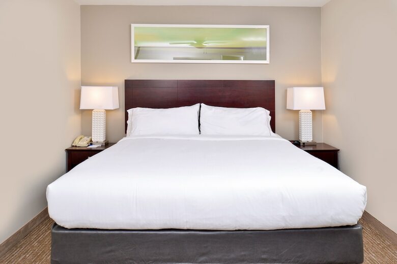 Holiday Inn Express Hotel & Suites Lafayette