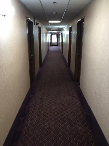 Hotel Baymont Inn & Suites Paducah