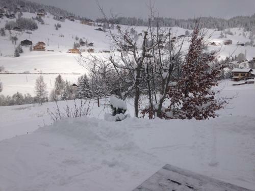 Aparthotel La Ferme Des Georgi�res