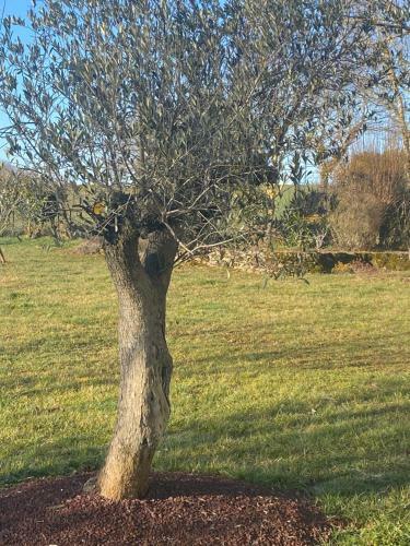 Bed & Breakfast Chambre D'h�tes Les Grillons