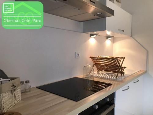 Apartamento Obernai � C�t� Parc �