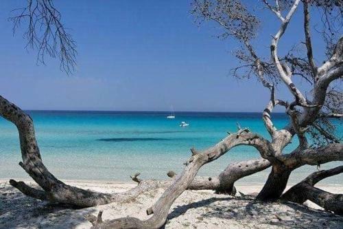 Apartamento Coin Tranquille � 2km de Saint-florent