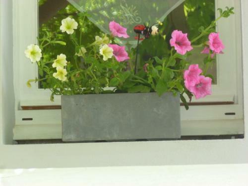 Bed & Breakfast La Rive D'o