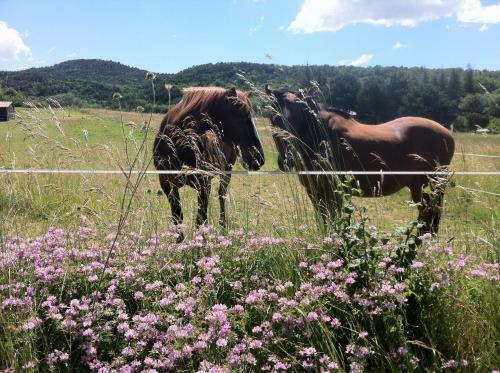 Bed & Breakfast La Maison de Marie-jeanne - Chambres Et Table D'h�tes