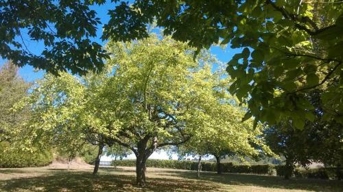 G�te Du Verger