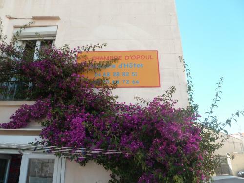 Bed & Breakfast La Chambre D'opoul