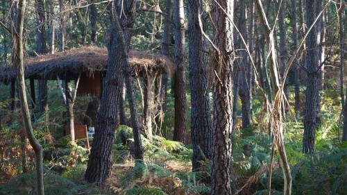 Bed & Breakfast Les Landines
