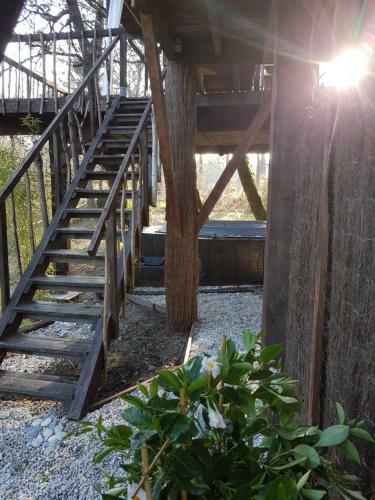 Bed & Breakfast Les Landines