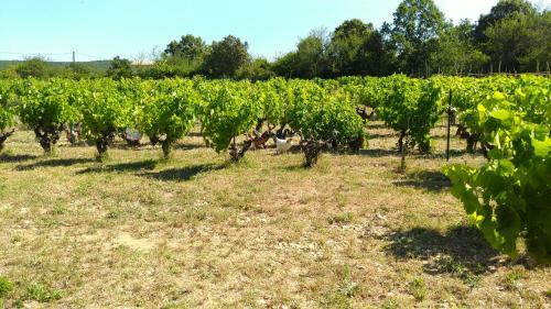 Gite Bardelle