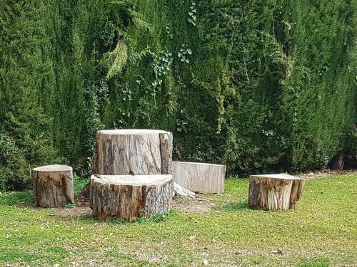 Apartamento Les Palmiers