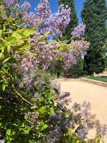 Bed & Breakfast Maison D'h�tes Campagne La N�gre