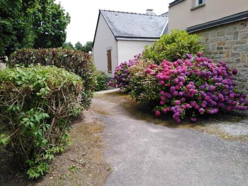 Mycottage