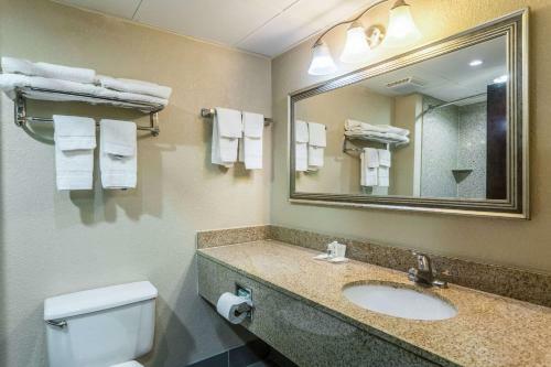 Hotel Comfort Inn Decatur