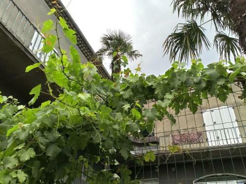 Bed & Breakfast La Maison Jaffran, Suite En Ville