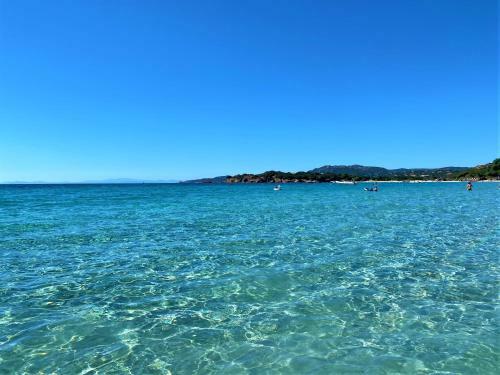Villa-piscine-climatisation-bbq-proche Plage de Palombaggia