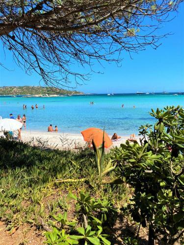 Villa-piscine-climatisation-bbq-proche Plage de Palombaggia
