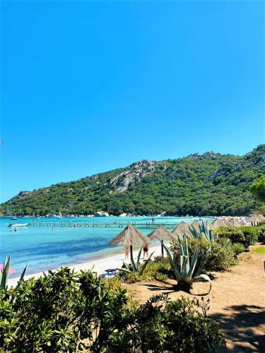 Villa-piscine-climatisation-bbq-proche Plage de Palombaggia