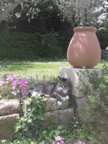 Mas" La Maison de Mon P�re " Proche Avignon � Pujaut
