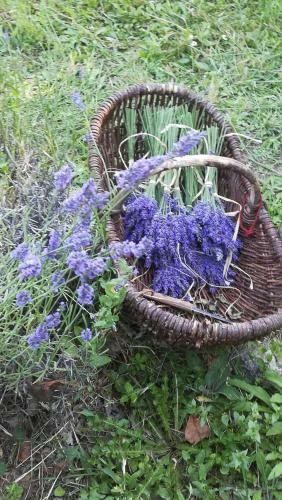 G�te de La Sabli�re Vignoble Aixois Et Piscine