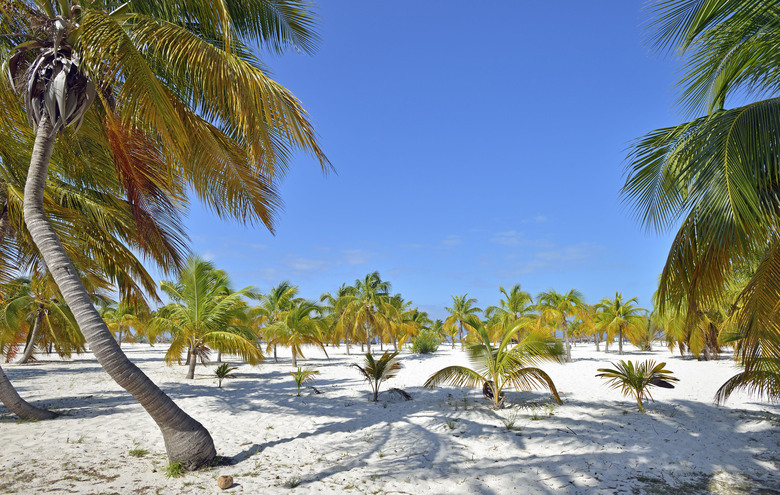 Hotel Memories Cayo Largo