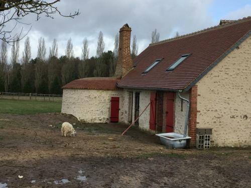 La Maison Des Canards
