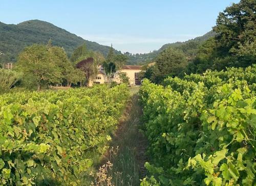 Hostal Les Deux Chevaux Chambres D?h�tes