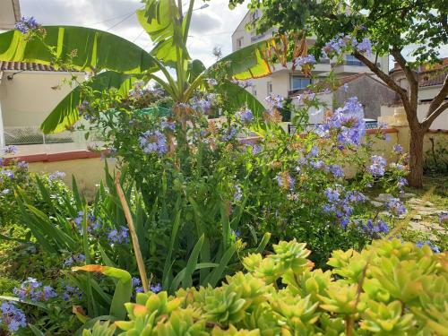Villa Royan - Maison Rustique Avec Jardin Clos - Proche Commerces Et Plages