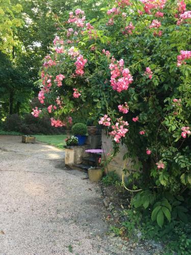 Bed & Breakfast Ch�teau de Saint-agoulin