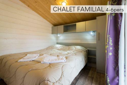 Chateau De La Plinguetiere