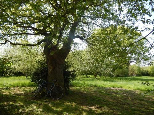 Insolite: La Tiny House Du Lutin Many