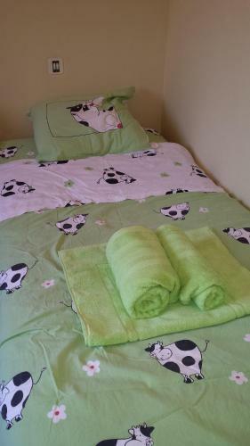 Bed & Breakfast Le Curieux
